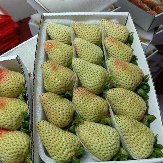 巧家县新鲜草莓，甜蜜多汁，健康美味，优惠，速来抢购！