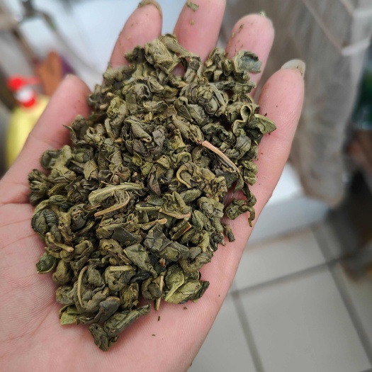 思茅碧螺春_大叶茶