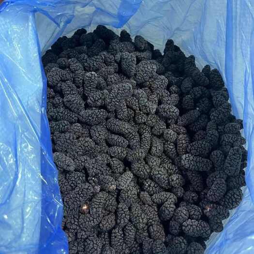 德昌县速冻桑葚大凉山冷冻桑葚