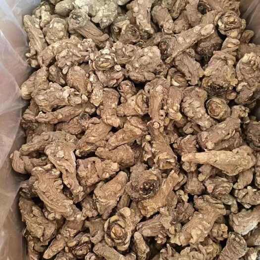 岷县甘肃岷县定西当归头当归片500g15头