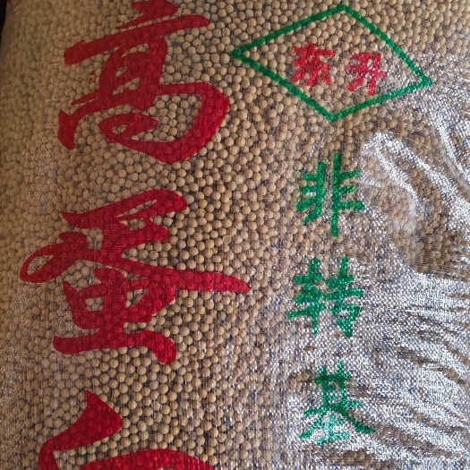 拜泉县东北大豆 东升一号 整车发货