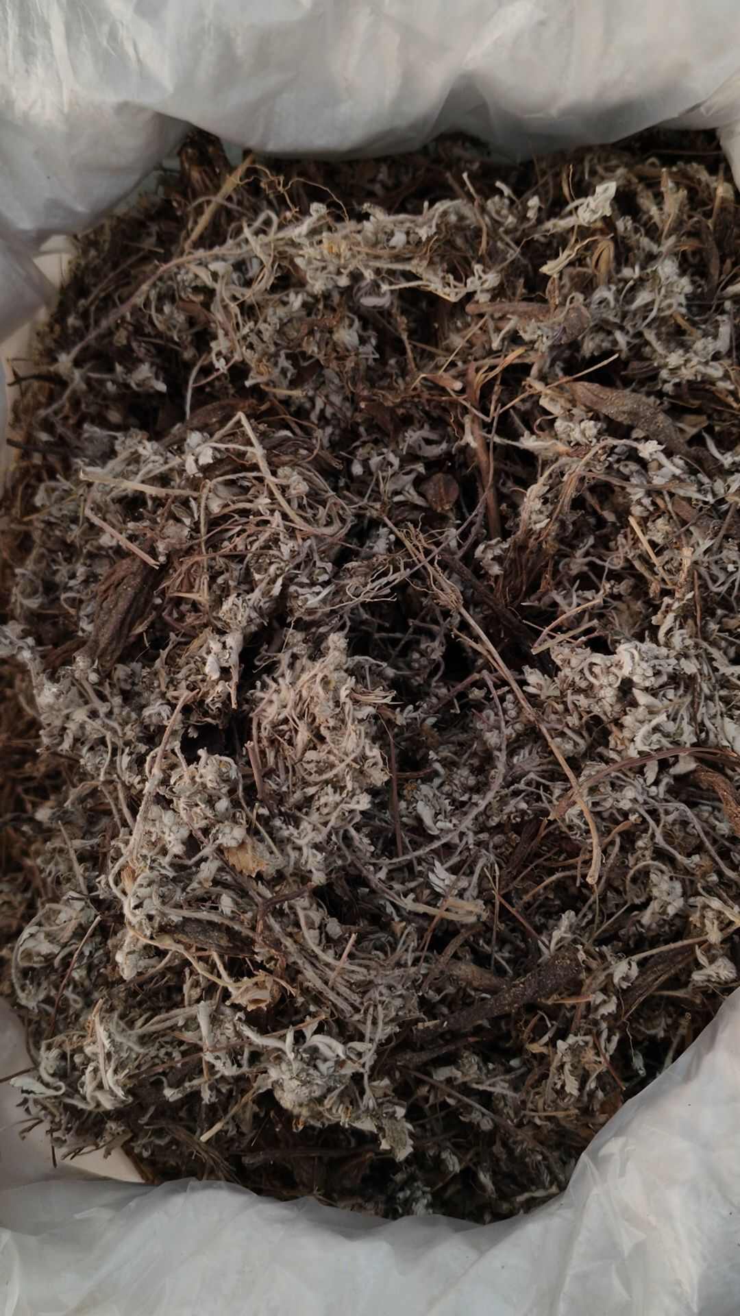 中草药番白草别名委陵菜反白草鸡脚草实拍图干货