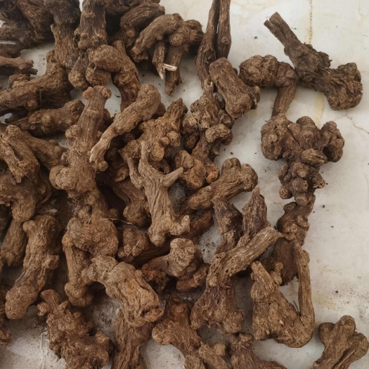  白术