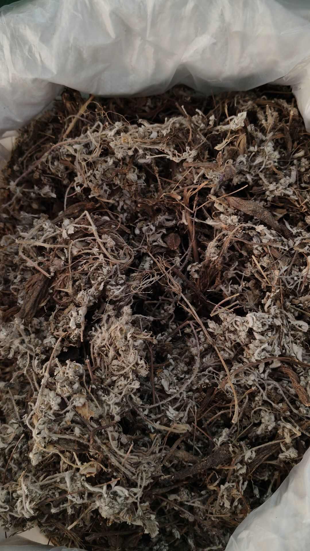中草药番白草别名委陵菜反白草鸡脚草实拍图干货