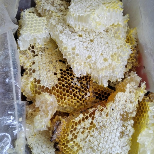 始兴县深山野生一一百花蜂蜜