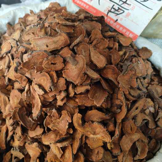 干货优质统货大黄马蹄大黄量大从优