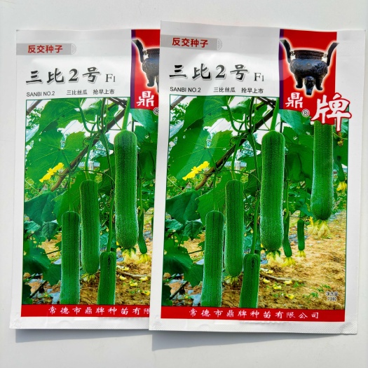 沭阳县三比2号丝瓜种子高产早熟肉丝瓜香丝瓜爬藤春秋冬季四季蔬菜种籽