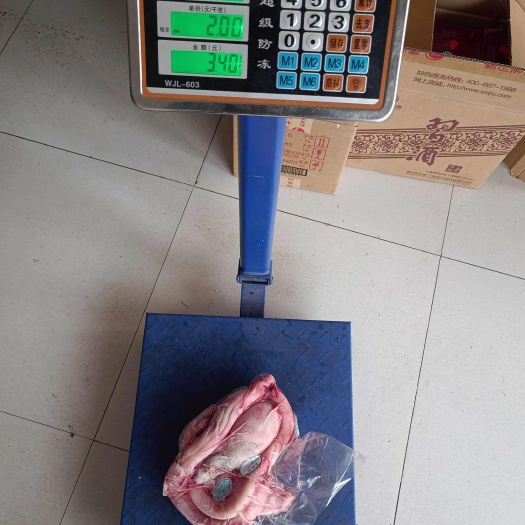 3斤多小牛鞭，质量精品