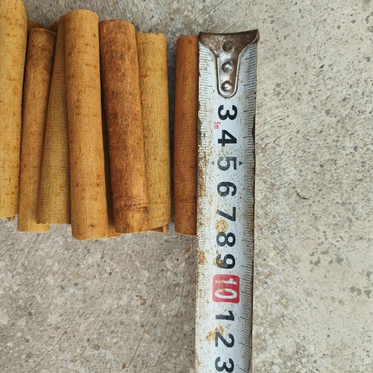 广西优质烟仔桂 批发 零售实惠好货
