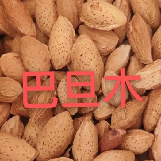 莎车县喀什地区莎车县的特产巴旦木 自产自销 剂