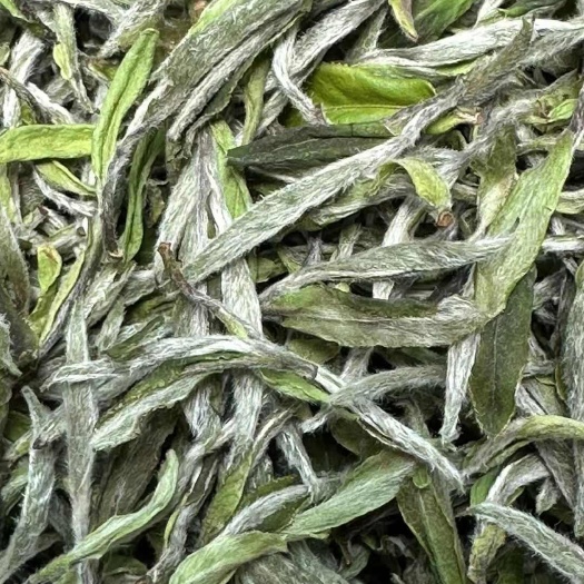 宁德500g福鼎白茶磻溪一芽一叶牡丹王2025年福鼎磻溪高山牡丹