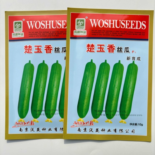 沭阳县楚玉香丝瓜种子高产早熟肉丝瓜香丝瓜爬藤春夏秋冬季四季蔬菜种籽