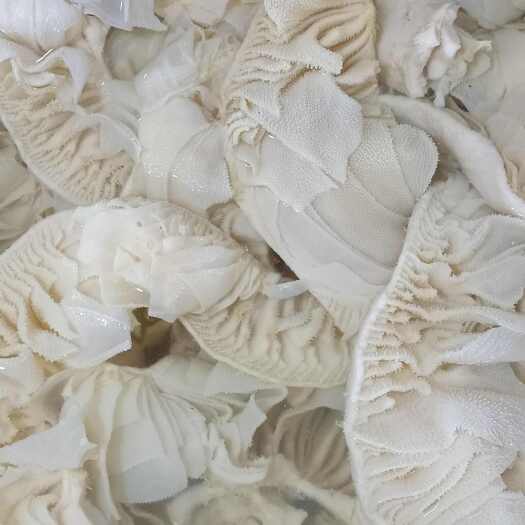 成都百叶大边角自助火锅冒菜可用可定装规格长期大量供应