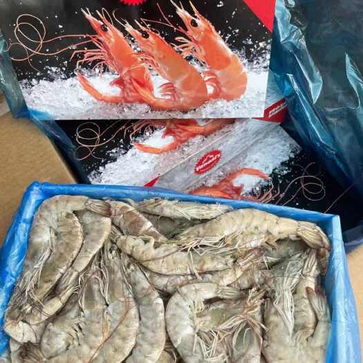 济南盐冻虾