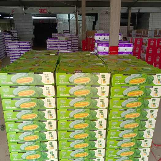 寿光市蜜园十八甜瓜博洋72甜瓜产地大量上市中
