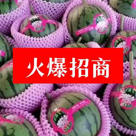 小糖丸2k西瓜冰糖子西瓜礼品西瓜