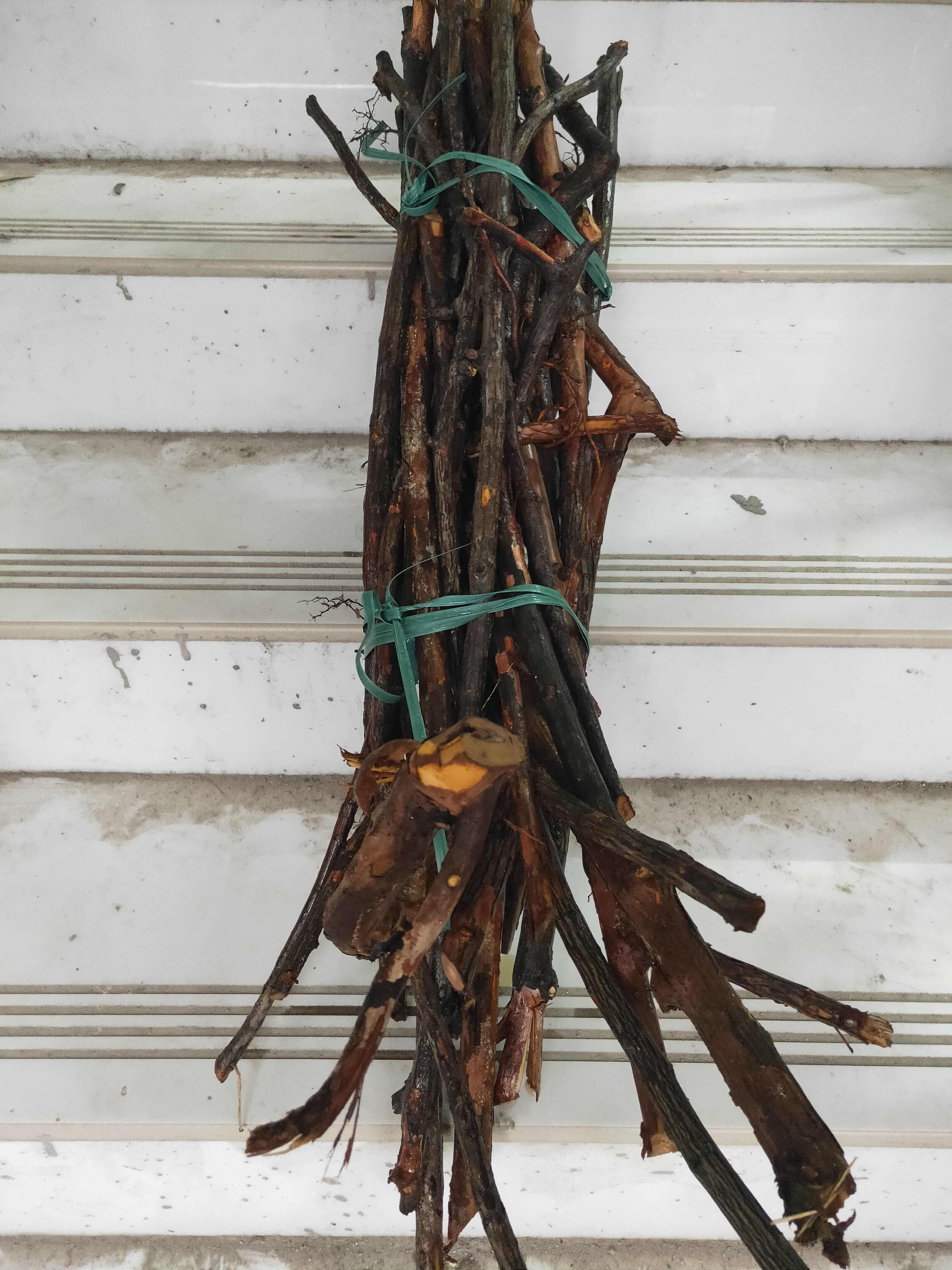 长期供金樱根生鲜货