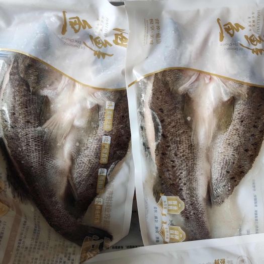 海鲈鱼