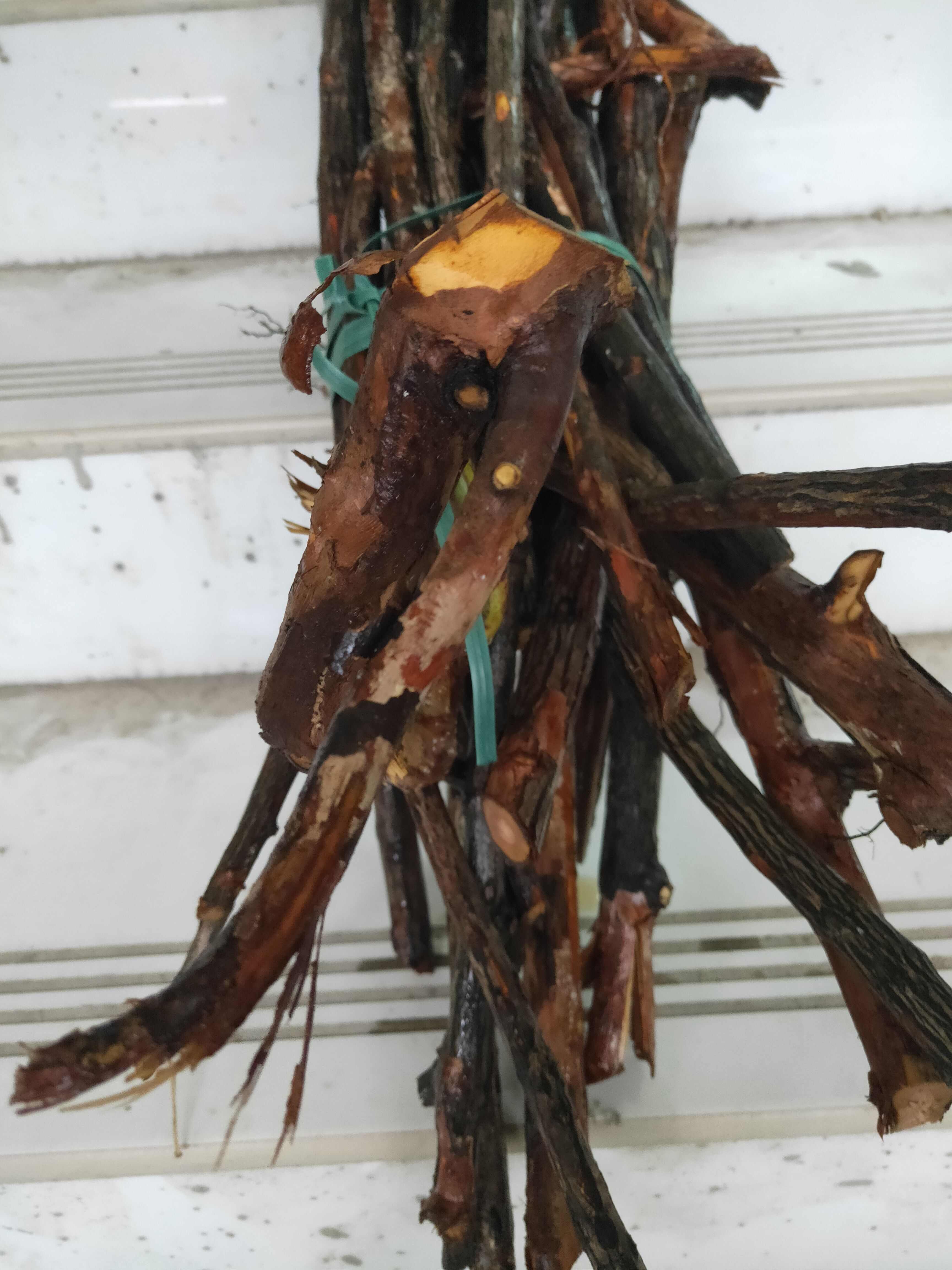 长期供金樱根生鲜货