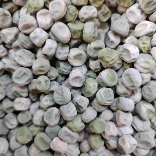 双柏县干豌豆长寿仁干豌豆甜干豌豆青豌豆，大量供应