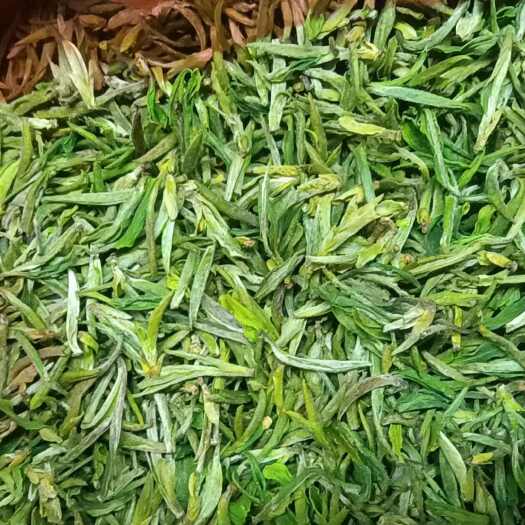  绿茶