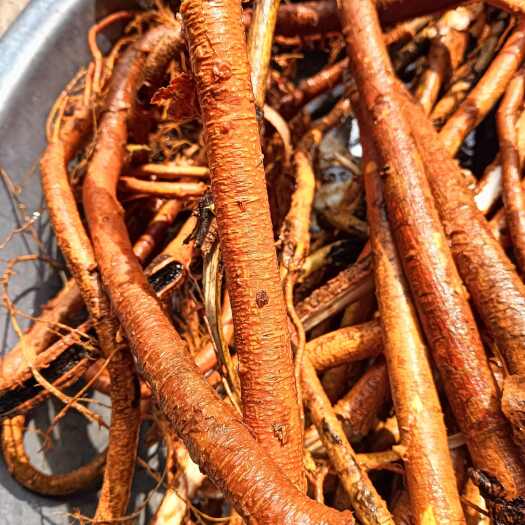 穿破石、黄龙退壳、九层皮