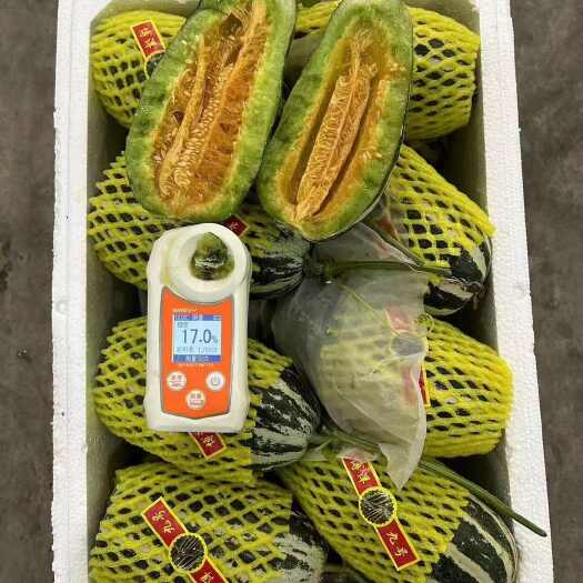 惠民县羊角蜜甜瓜（精品）万亩种植基地，