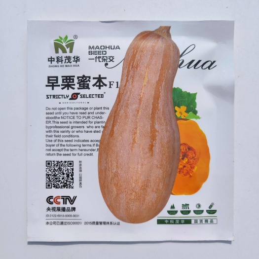 沭阳县早栗蜜本南瓜种子超甜粉面蜜本甜南瓜早熟高产种子大全蔬菜种子籽