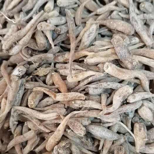 亳州双肾参正品双肾参【假一赔十】