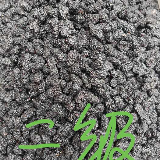黑桑葚