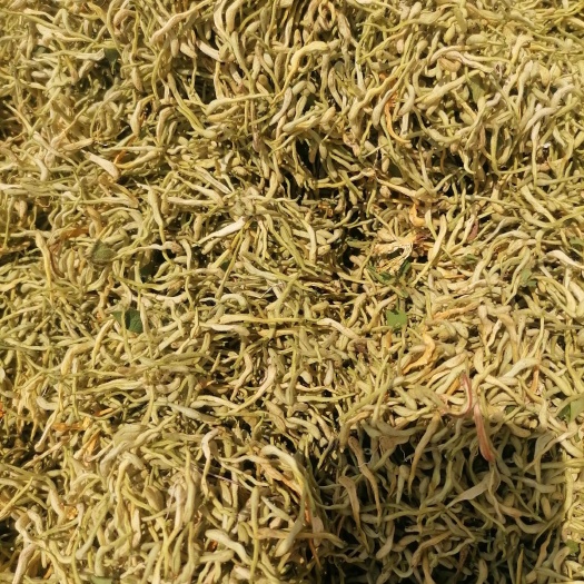  金银花根