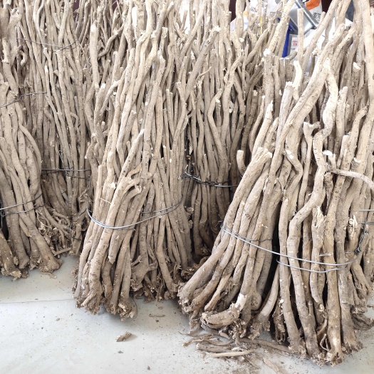 甘肃岷县正宗黄芪产地直发纯无硫黄芪品质保证量大从优！