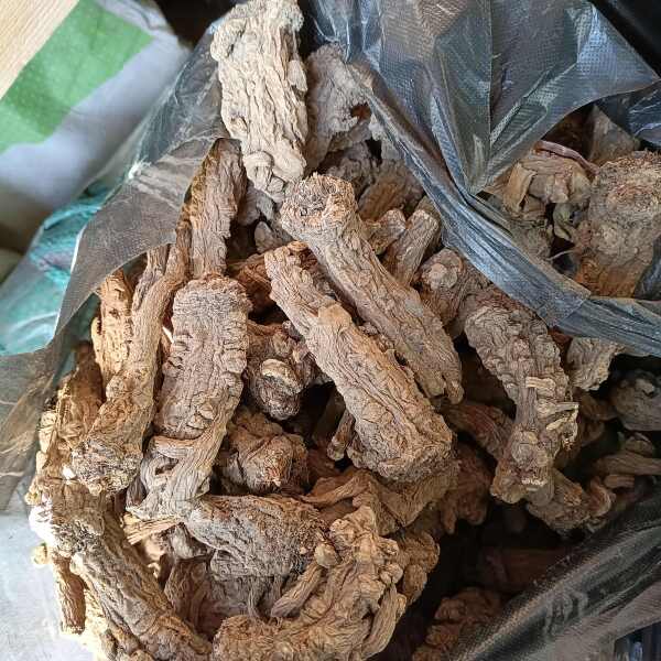 甘肃岷县（包邮）当归头无硫归头批发零售产地直发无硫货品质保证