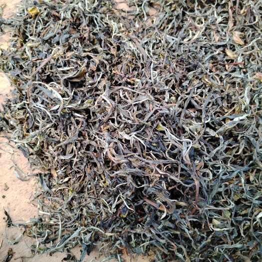 沧源县黑茶