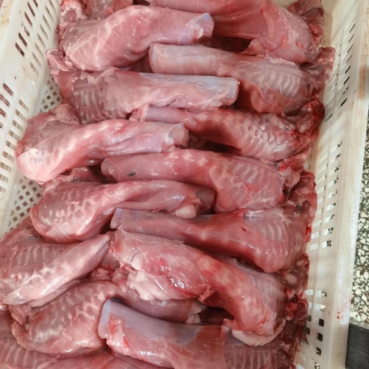 临沂带肉兔排