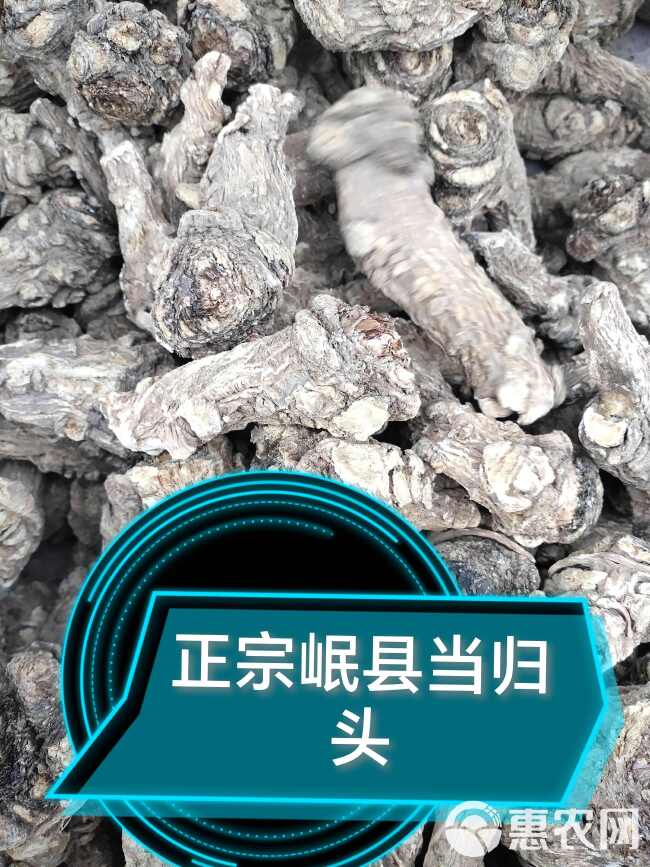 甘肃岷县（包邮）当归头无硫归头批发零售产地直发无硫货品质保证