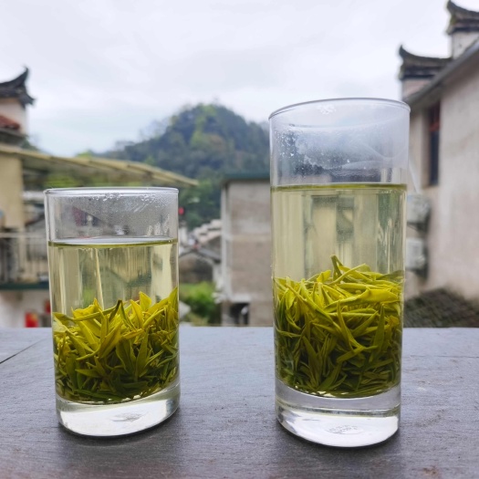 黄山黄山绿茶明前茶毛尖烘青黄山毛峰