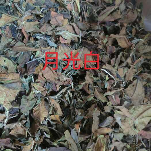 双江县普洱月光白茶叶