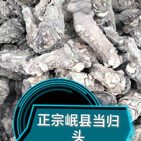 甘肃岷县（包邮）当归头无硫归头批发零售产地直发无硫货品质保证