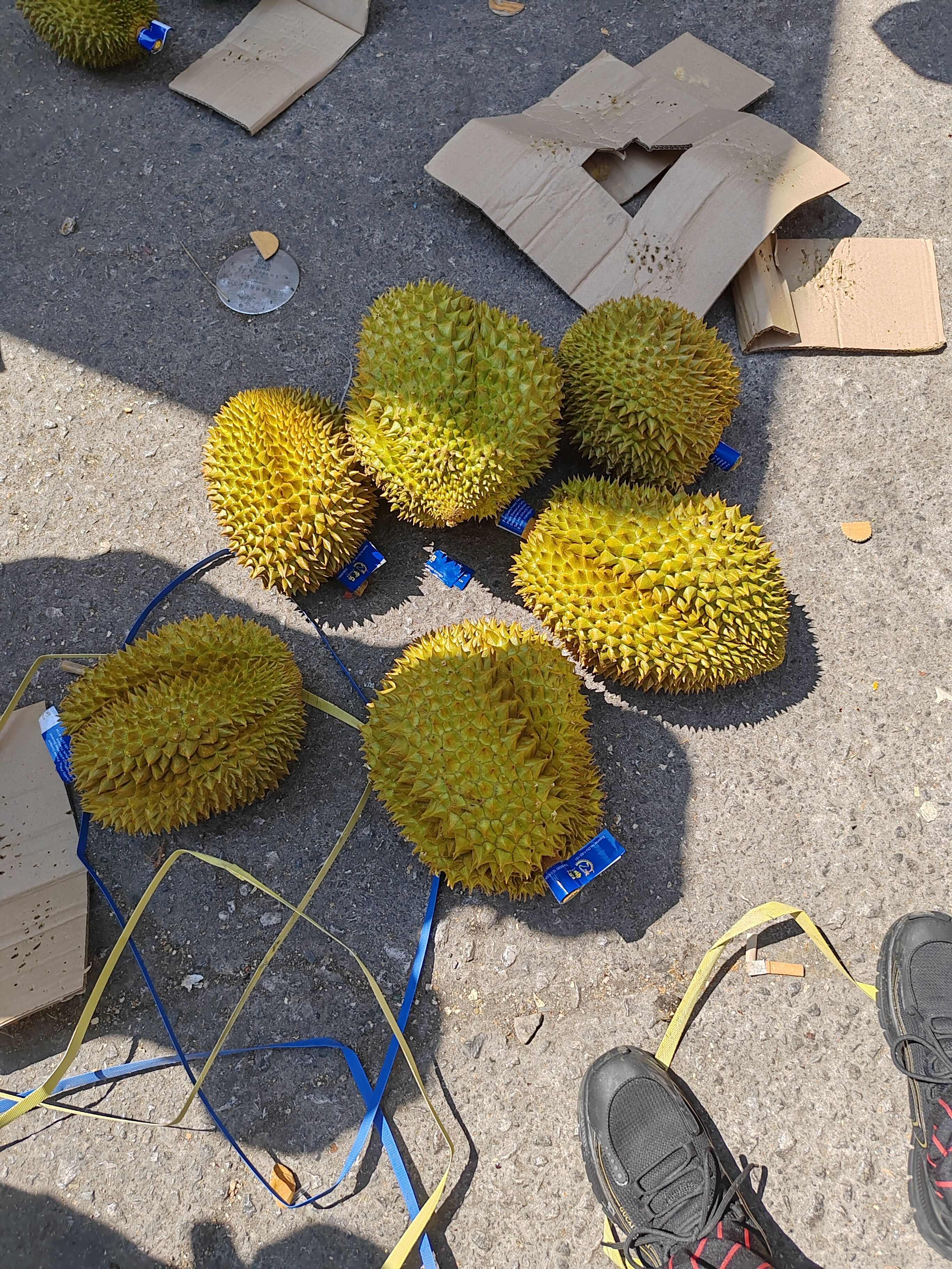 泰国金枕榴莲新鲜水果整箱5-6果