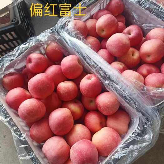 绥中县苹果