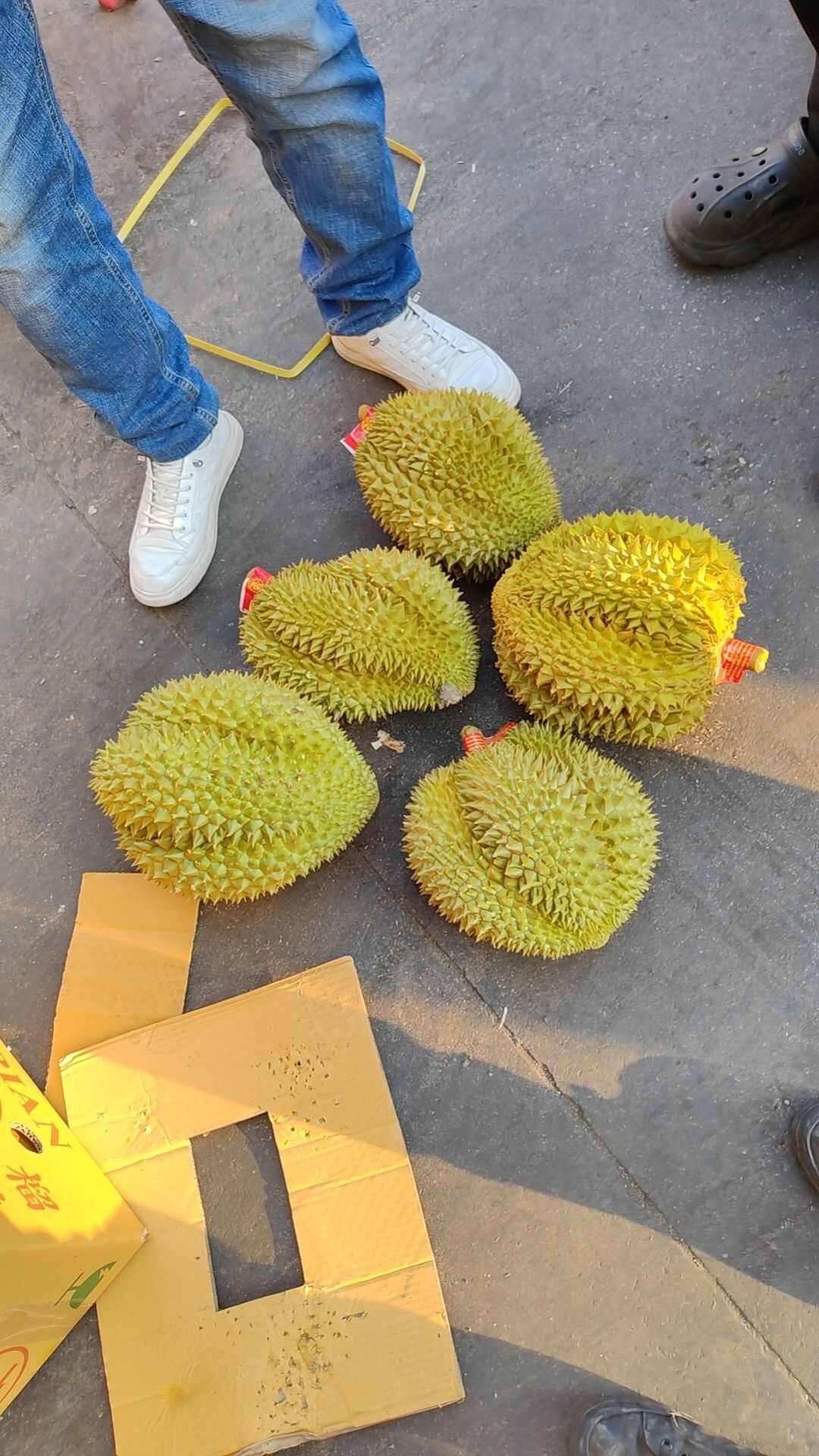 泰国金枕榴莲新鲜水果整箱5-6果