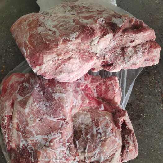母猪四号肉