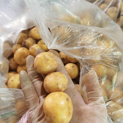 台州坞根特色小吃珍珠黄心小土豆