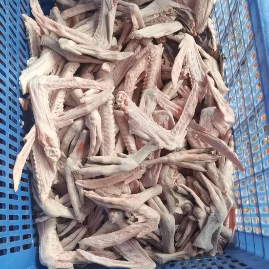 鹅掌翅