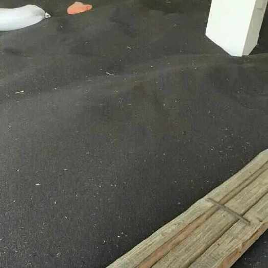 油菜籽