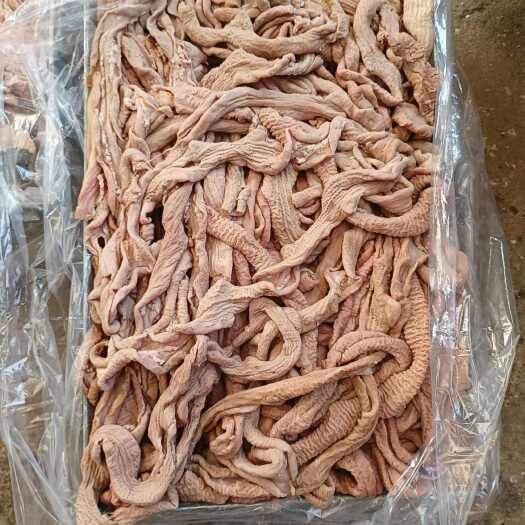 凤台县牛肠新鲜直供来自淮南凤台县精选牛副产品