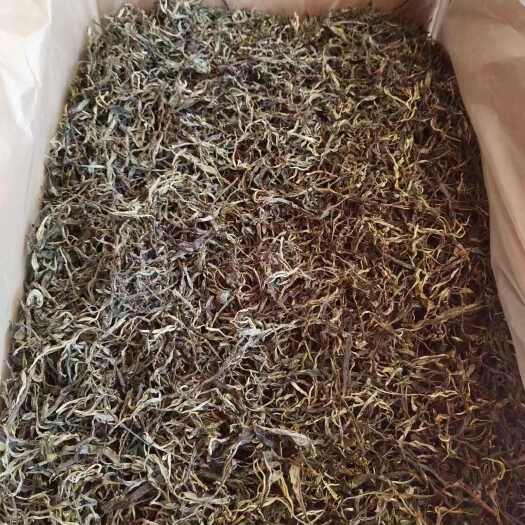  黑茶