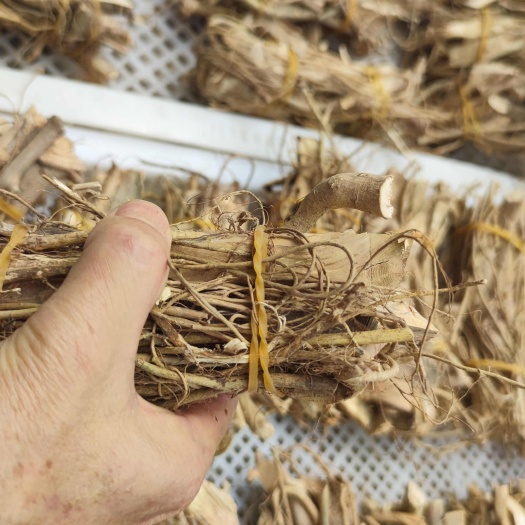 博罗县牛奶树根，扎把牛奶树，纯手工制作，保持原汁原味