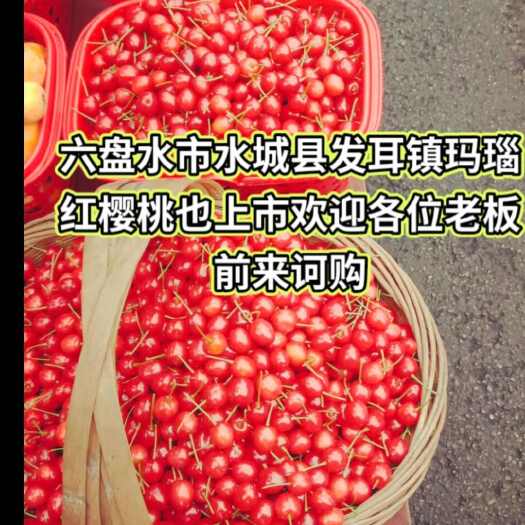  车厘子/樱桃